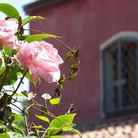 فندق مبيت وإفطار L'orto Dei Semplici